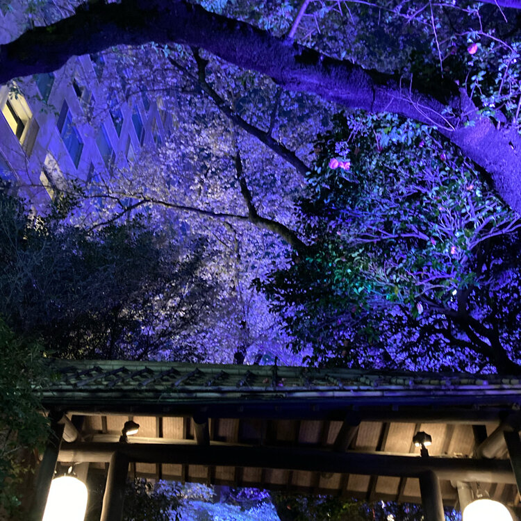 美麗! 高精細 プリント 写真 「曇天の指宿駅。」 大浪カメラ｜ちょっと素敵に暮らす写真のある生活