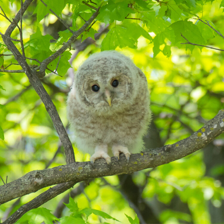 Mika さんの投稿 ｜ ことりっぷ