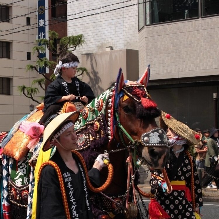青銀目のチャグチャグ馬コ チャグチャグ馬コとは？ | 滝沢市