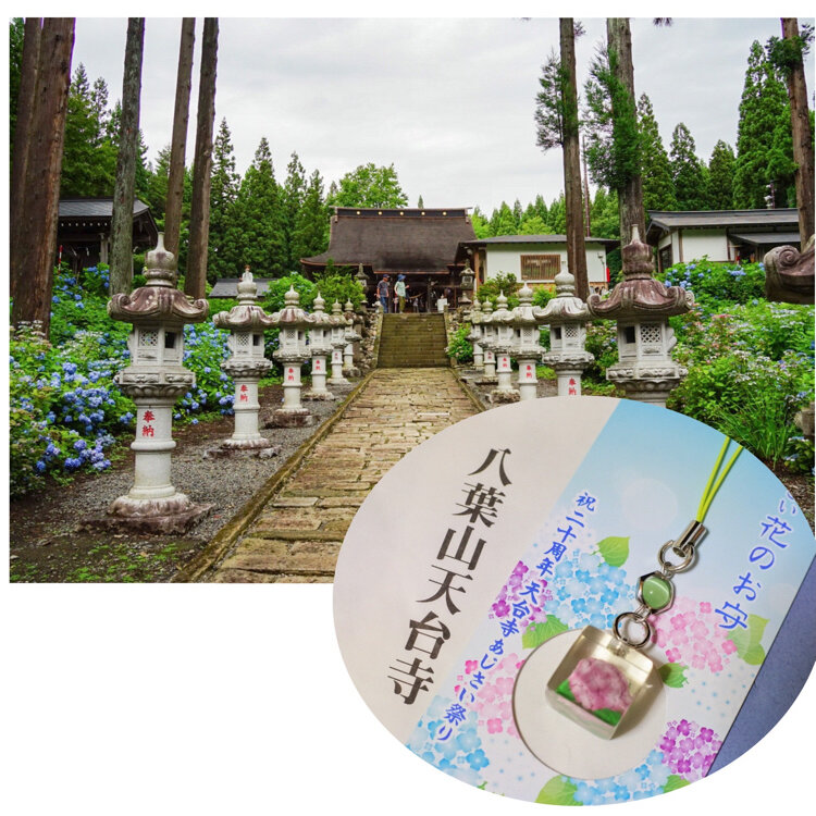 さとうさんの投稿/八葉山天台寺 ｜ ことりっぷ