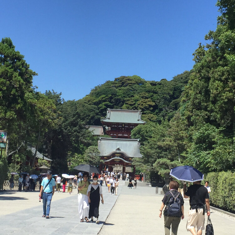 鶴岡八幡宮 - （神奈川県）の詳細情報 ｜ ことりっぷ