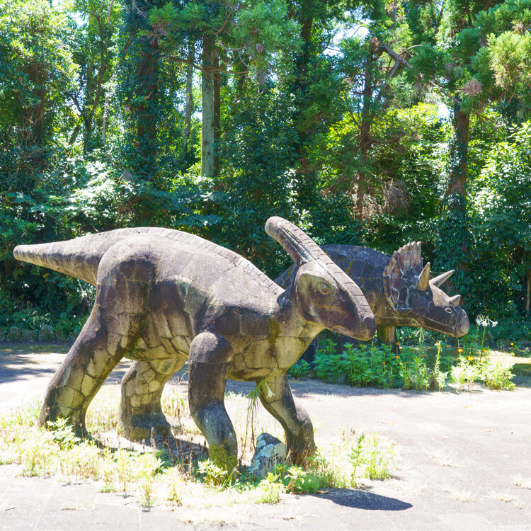 T*O様 魯山　オブジェ　壁に nicoさんの投稿/石山展望台 ｜ ことりっぷ