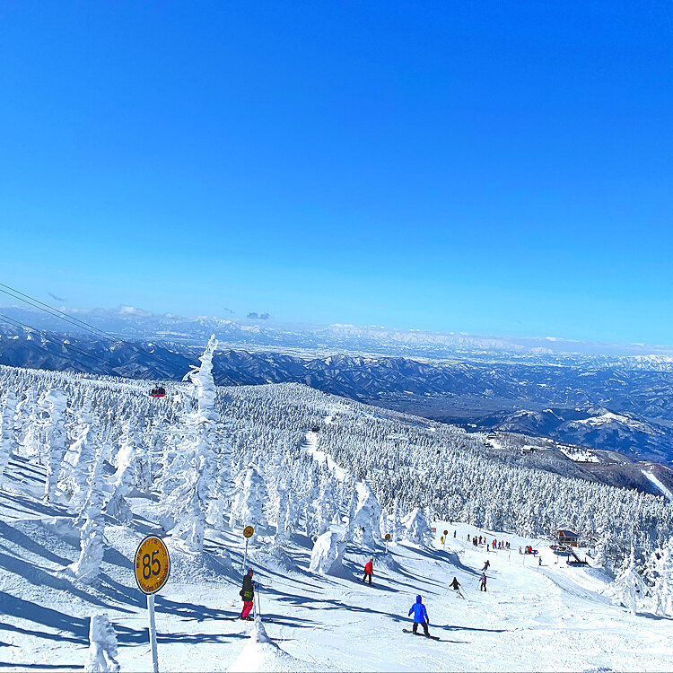 まさまささまさんの投稿/山形蔵王温泉スキー場 ｜ ことりっぷ