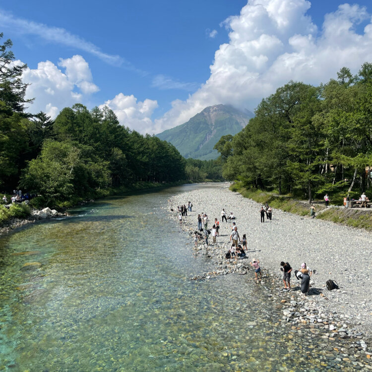 新緑の小川 #長野県 #安曇野 #安曇野の風景 #川のある風景 #綺麗
