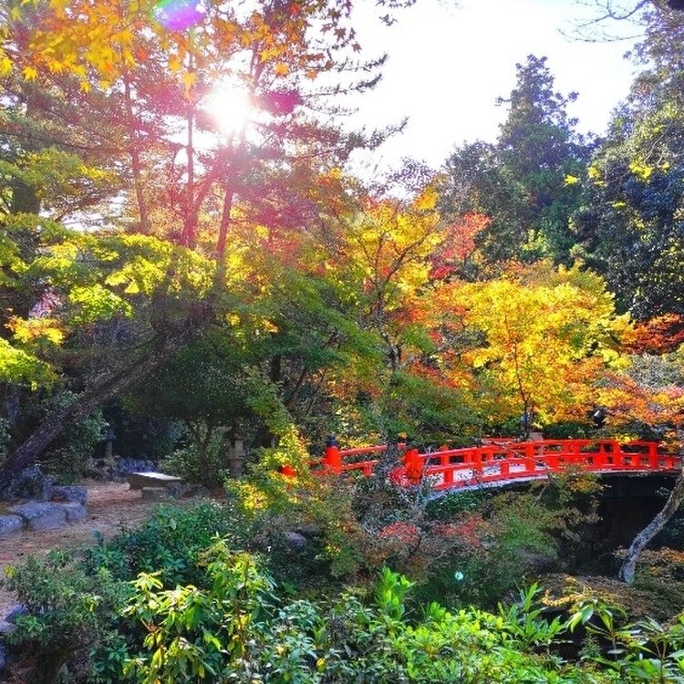 ころすけ🌱さんの投稿/紅葉谷公園 ｜ ことりっぷ