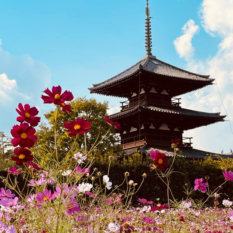 法起寺 - （奈良県）の詳細情報 ｜ ことりっぷ