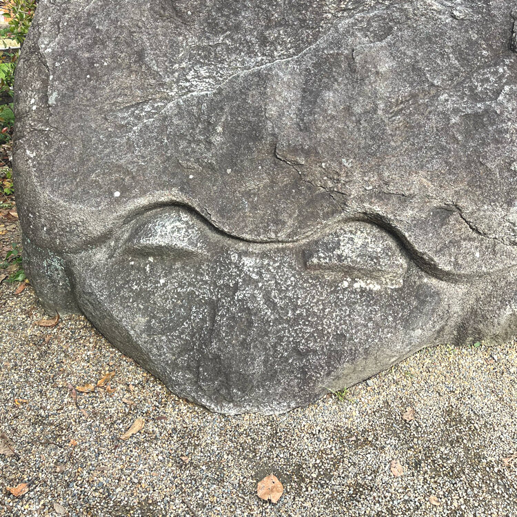 亀石(天然石) 楽天市場】【1個】亀 Turtle タイガーアイ かめ 天然石 インテリア