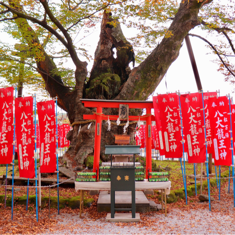 miyumiyuさんの投稿/秩父今宮神社（八大龍王宮） ｜ ことりっぷ