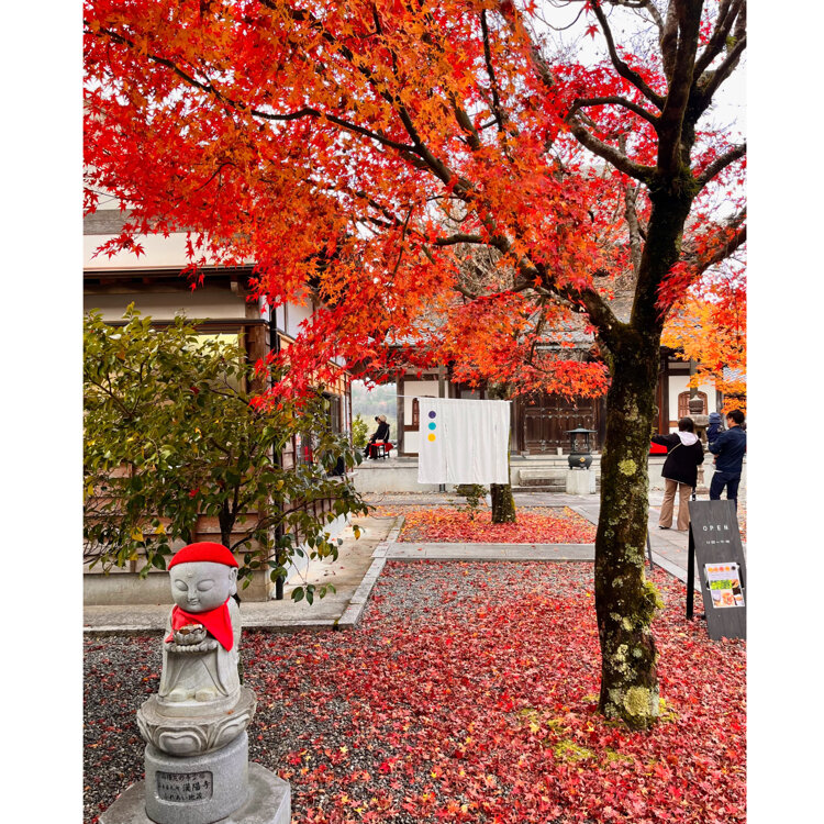 漢陽寺 - （山口県）の詳細情報 ｜ ことりっぷ