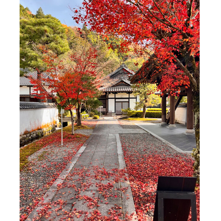 漢陽寺 - （山口県）の詳細情報 ｜ ことりっぷ