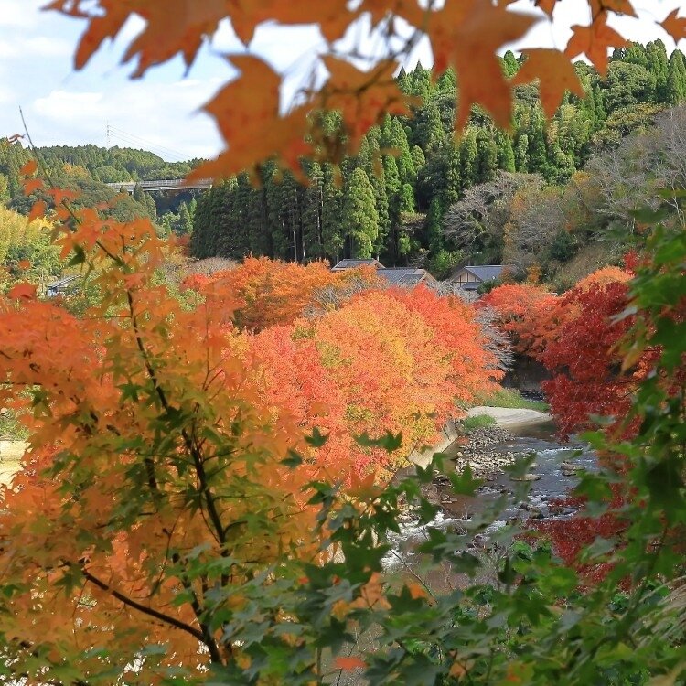 ちいさんの投稿/せせらぎの湯 花水木 ｜ ことりっぷ