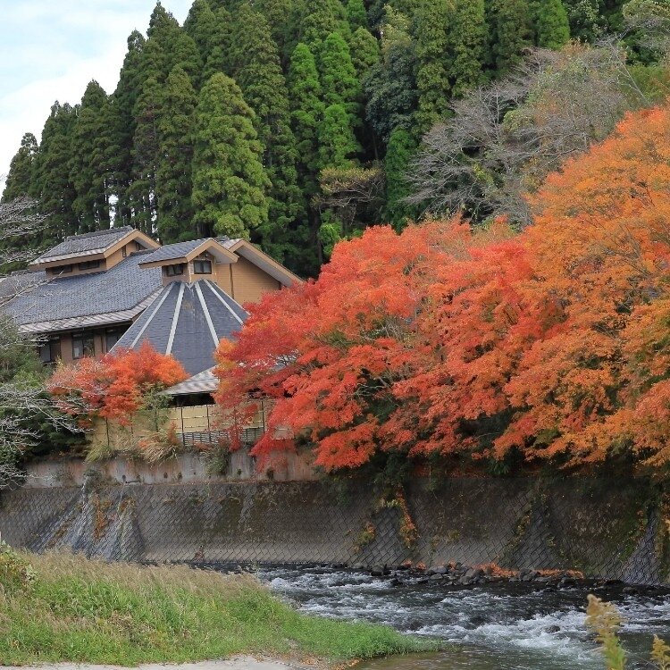 ちいさんの投稿/せせらぎの湯 花水木 ｜ ことりっぷ