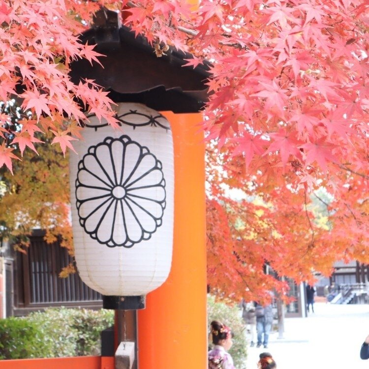 下鴨神社 - （京都府）の詳細情報 ｜ ことりっぷ