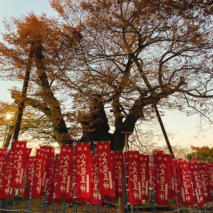 秩父今宮神社（八大龍王宮） - （埼玉県）の詳細情報 ｜ ことりっぷ