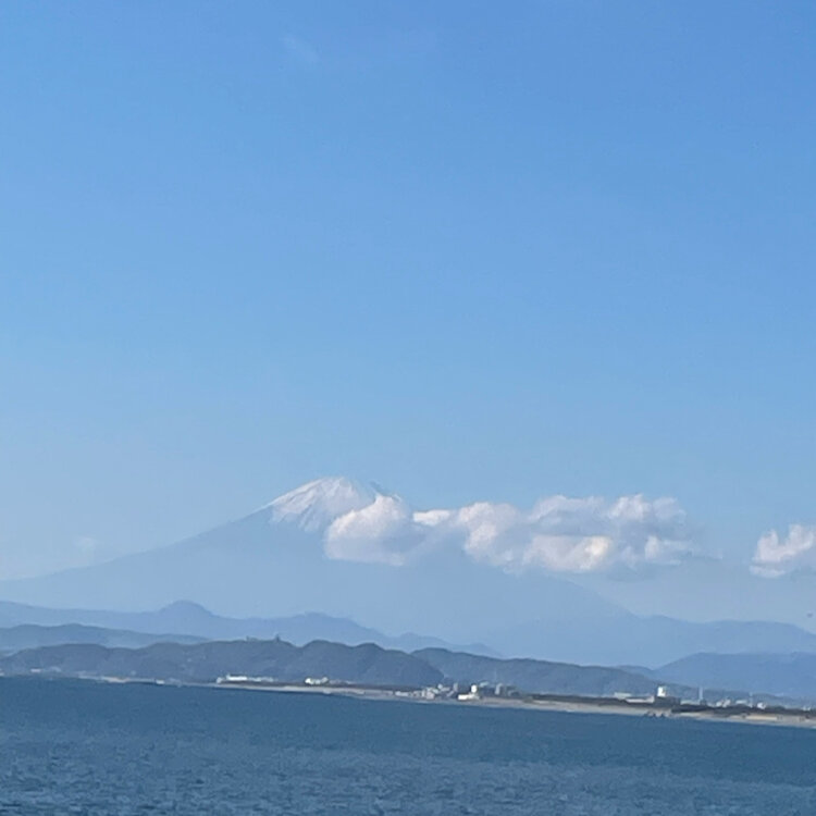 よしまる⭐︎さんの投稿/新江ノ島水族館 ｜ ことりっぷ