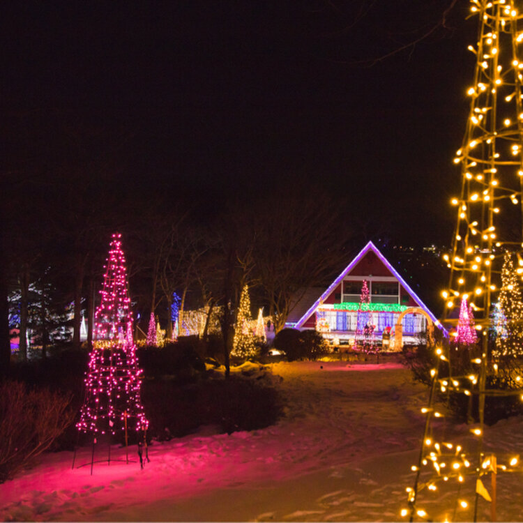 ハーフムーンサンタ　クリスマスイルミネーション ブローライト はしごサンタ L 3P(Blow light Ladder santa L)