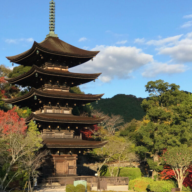 お城✨お寺✨桜咲く✨瑠璃光寺✨五重の塔✨プラモデル✨SP