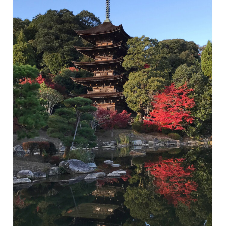 まるこさんの投稿/瑠璃光寺五重塔 ｜ ことりっぷ