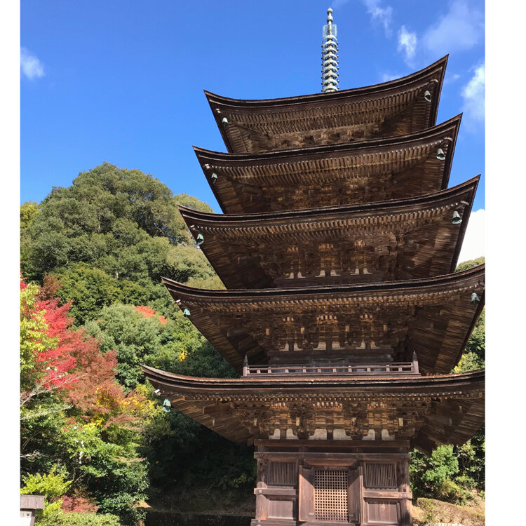 まるこさんの投稿/瑠璃光寺五重塔 ｜ ことりっぷ