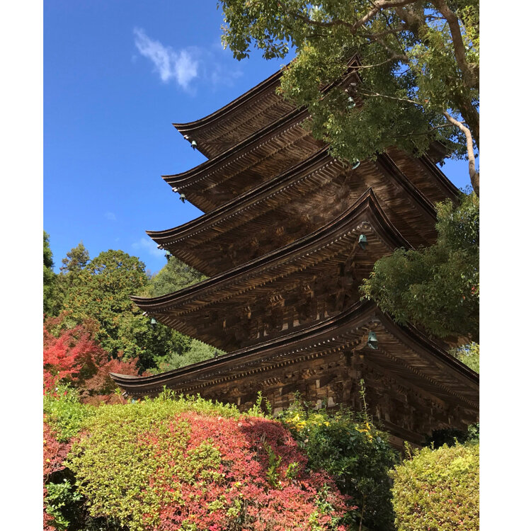 くまこさんの投稿/瑠璃光寺五重塔 ｜ ことりっぷ