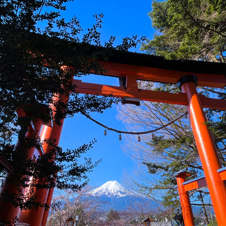 kikumaru45さんの投稿/新倉山浅間公園 ｜ ことりっぷ
