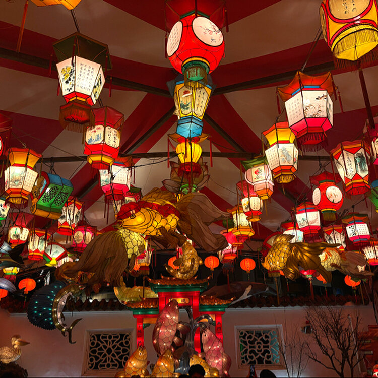 いちごさんの投稿/湊公園 ｜ ことりっぷ