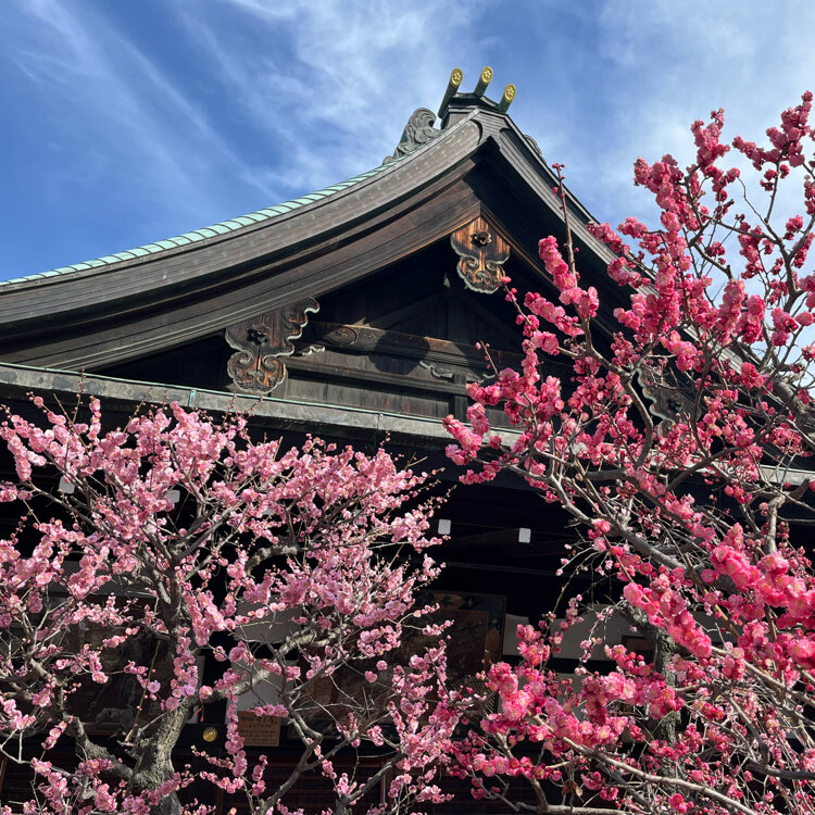 大阪天満宮 - （大阪府）の詳細情報 ｜ ことりっぷ