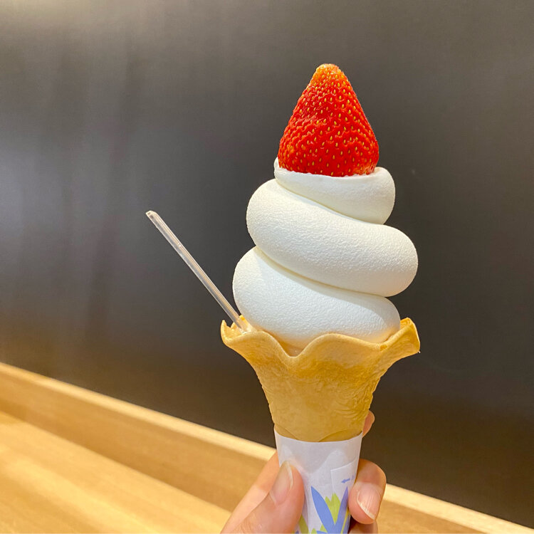 Ayuさんの投稿/PREMIUM TENTE ｜ ことりっぷ