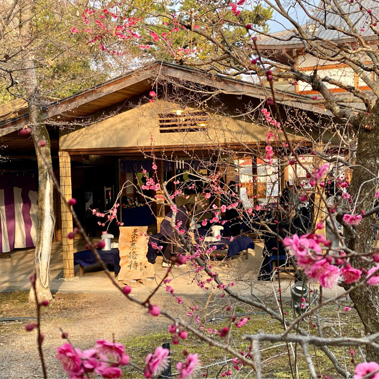 北野天満宮 - （京都府）の詳細情報 ｜ ことりっぷ