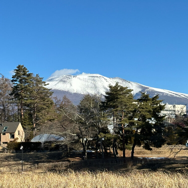 yasuさんの投稿/雪窓公園 ｜ ことりっぷ