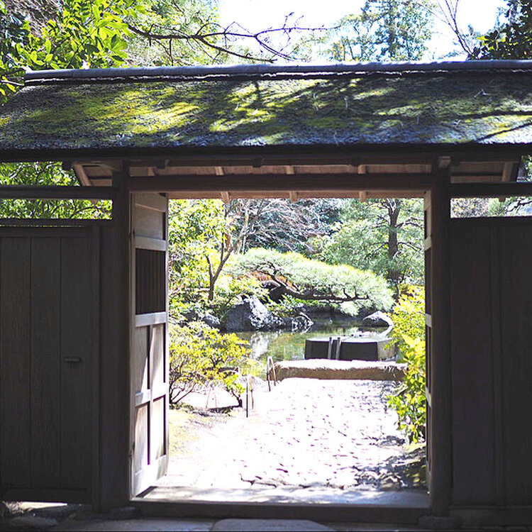 よつばさんの投稿/寒川神社・神嶽山神苑 ｜ ことりっぷ