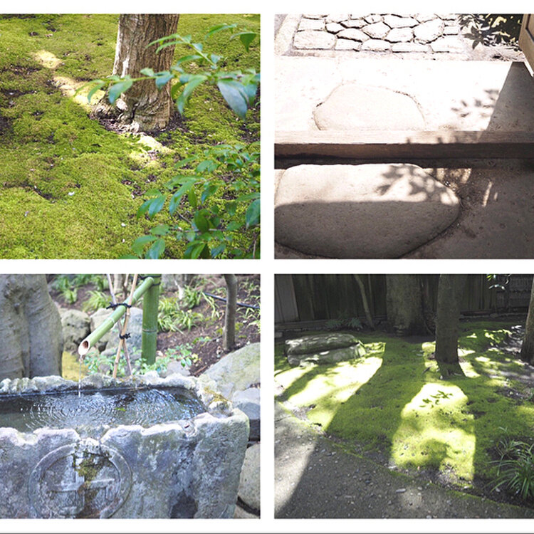 ストア 寒川神社 神嶽山神苑 入苑券