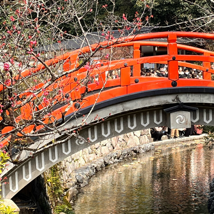 下鴨神社 - （京都府）の詳細情報 ｜ ことりっぷ