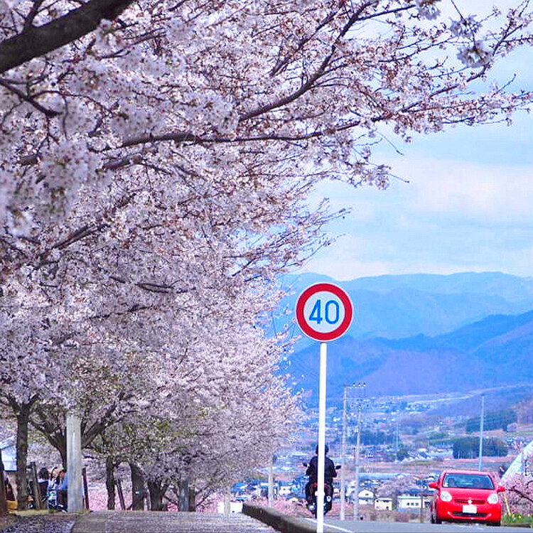 よつばさんの投稿/八代ふるさと公園 ｜ ことりっぷ
