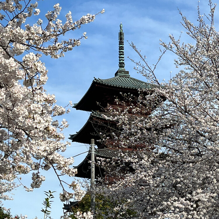 池上本門寺百年史 池上本門寺百年史
