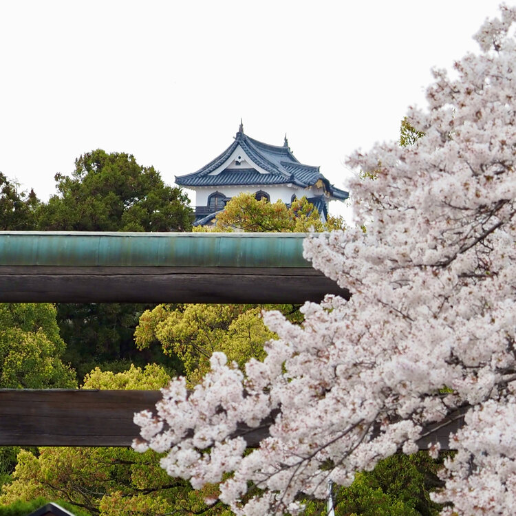 Amazon.co.jp: 木村由記夫 小岩井農場の桜 SM号 シルバー 油彩画