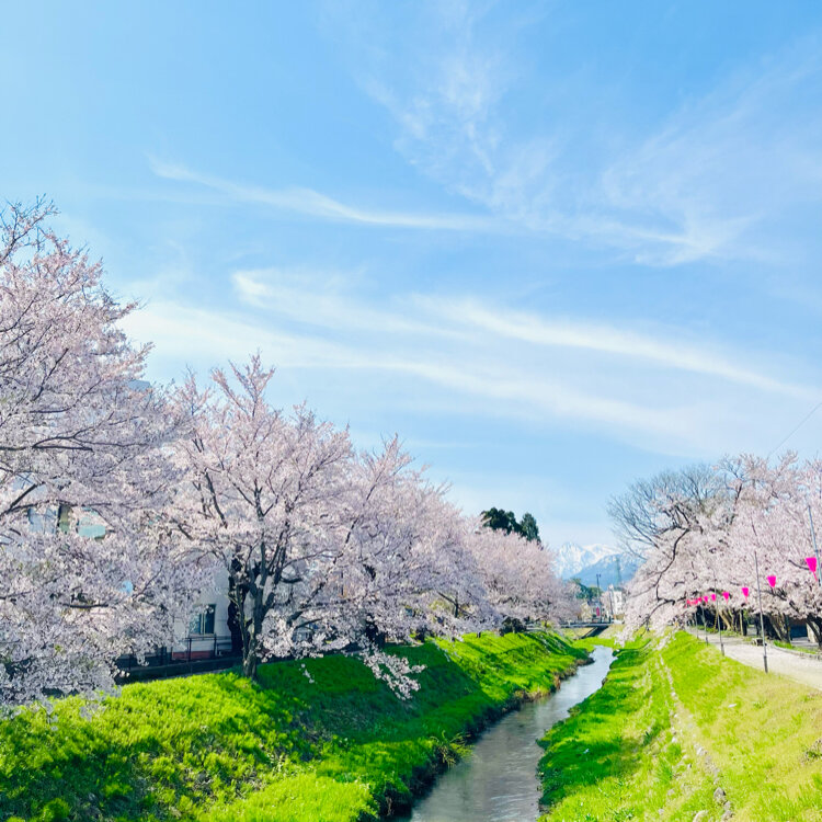 なないろさんの投稿/青田川 ｜ ことりっぷ