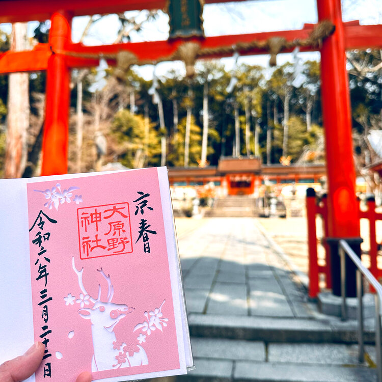 えるさんの投稿/大原野神社 ｜ ことりっぷ