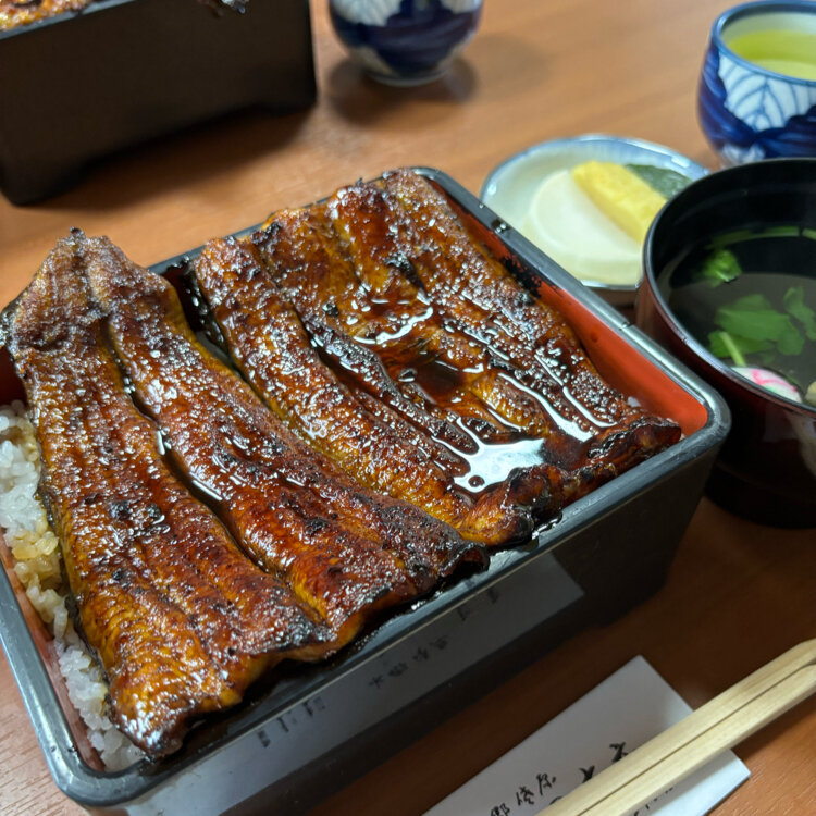 mizさんの投稿/うなぎ割烹 山田 ｜ ことりっぷ