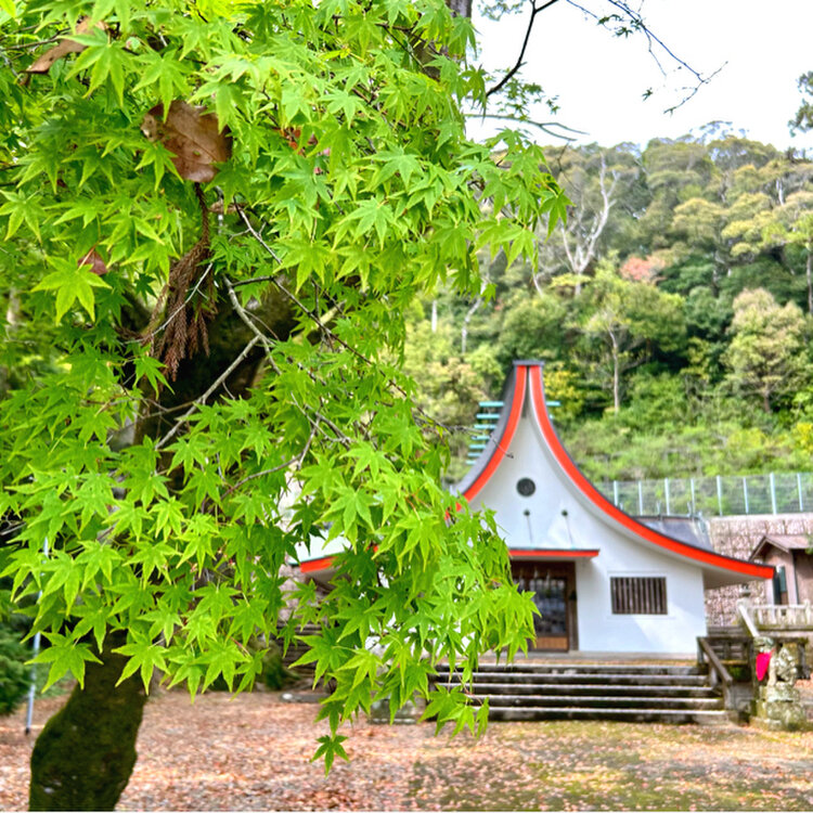 happyさんの投稿/八坂神社 ｜ ことりっぷ