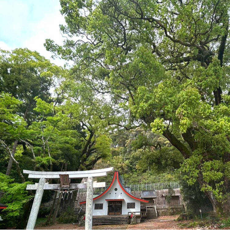 happyさんの投稿/八坂神社 ｜ ことりっぷ