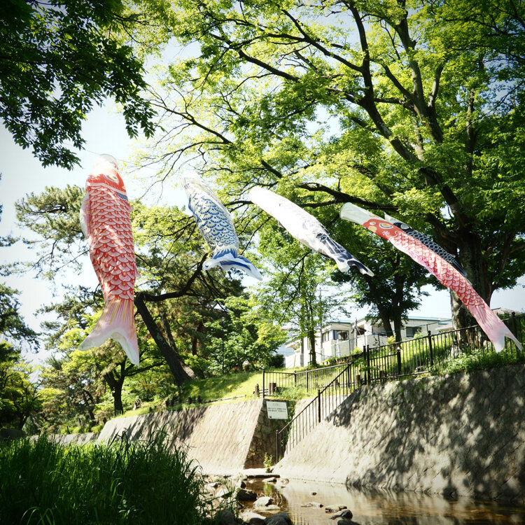 【SUN SUN】木製・鯉のぼり SUN SUN】木製・鯉のぼり