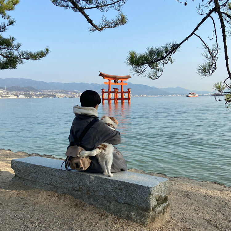 yumeさんの投稿/厳島神社 ｜ ことりっぷ
