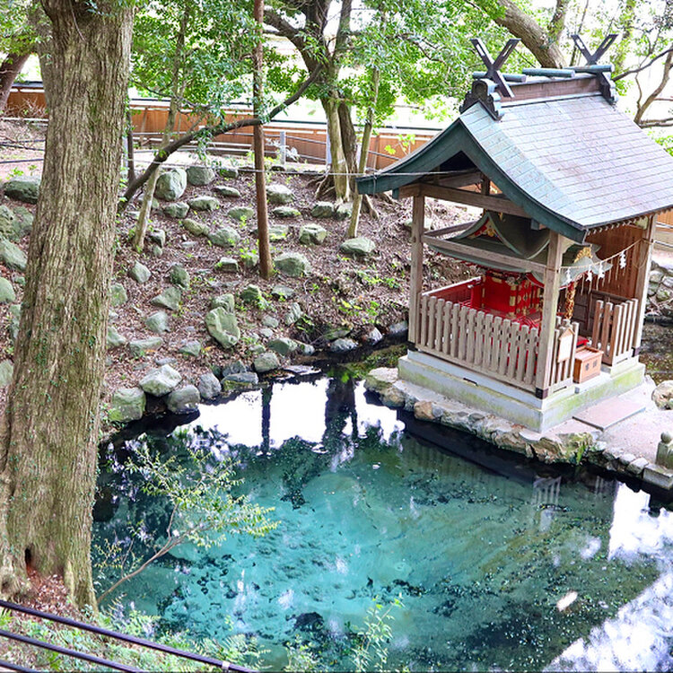 泉が森 泉神社 (イトヨの里 泉が森公園) | 観光いばらき公式