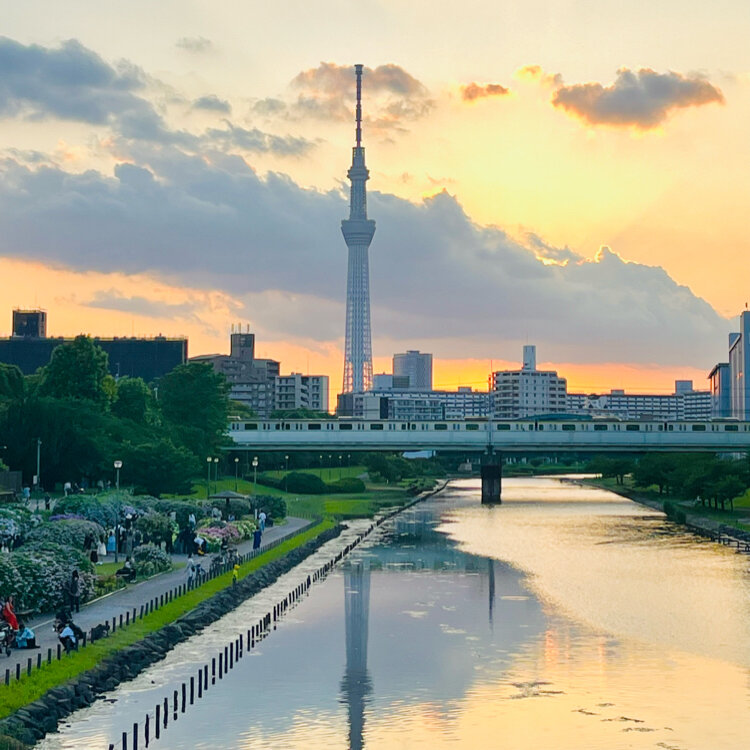旧中川水辺公園 - （東京都）の詳細情報 ｜ ことりっぷ