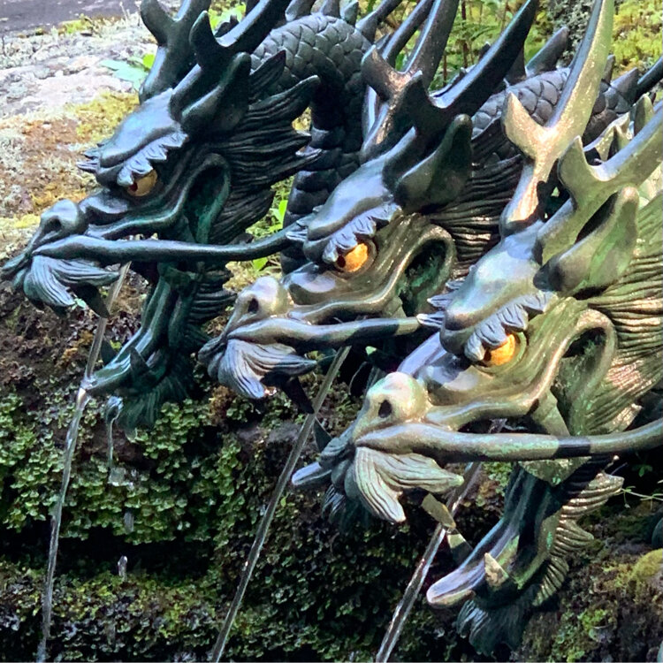 パンダこったさんの投稿/箱根神社平和の鳥居 ｜ ことりっぷ