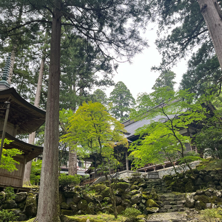 Rivieraさんの投稿/永平寺 ｜ ことりっぷ