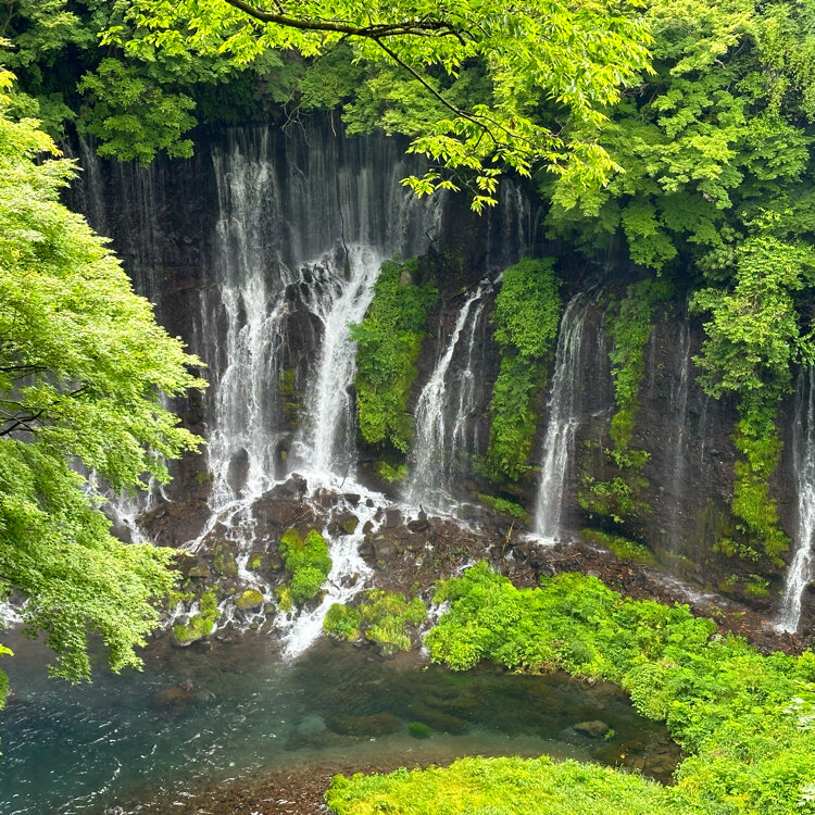 ウッチーさんの投稿/白糸の滝 ｜ ことりっぷ
