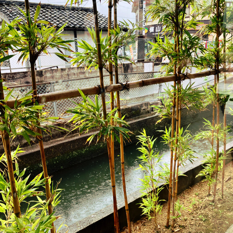 なお🫧さんの投稿/わらび餅専門店 萩ノ早蕨 ｜ ことりっぷ