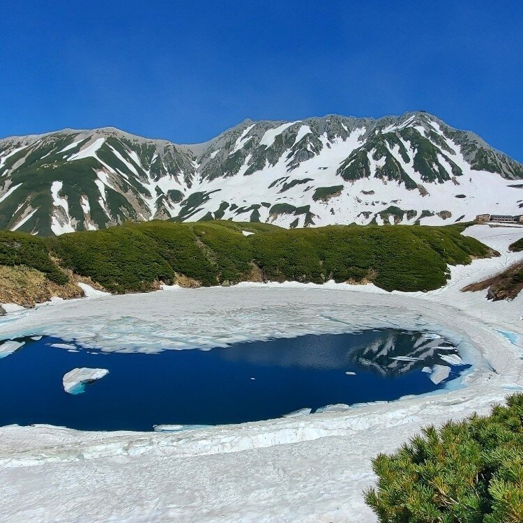 みくりが池 - （富山県）の詳細情報 ｜ ことりっぷ